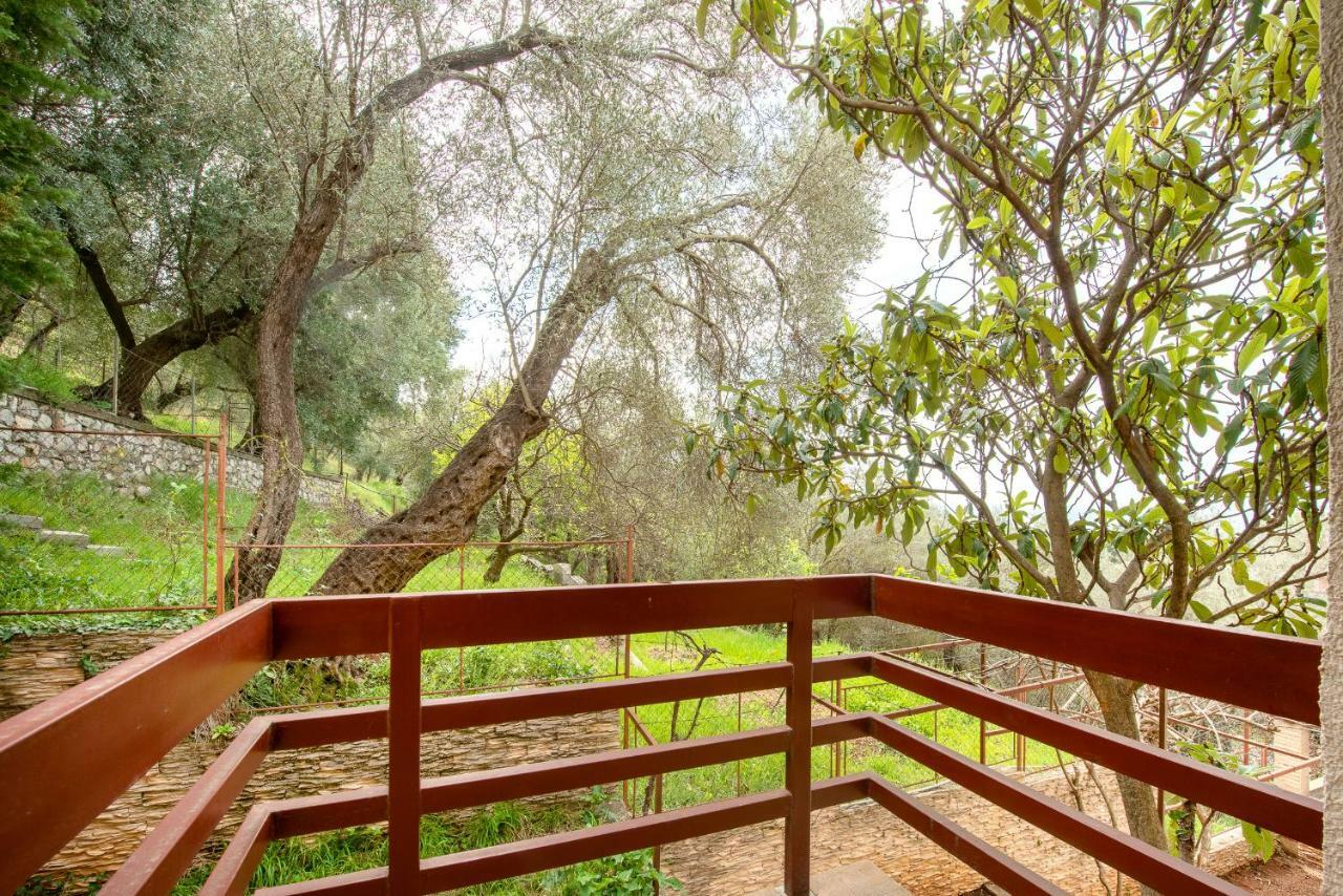 Villa Milana Budva Luaran gambar